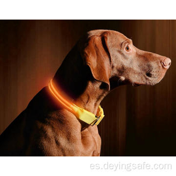 Mascotas Collares Poliéster ajustable que brillan en la noche